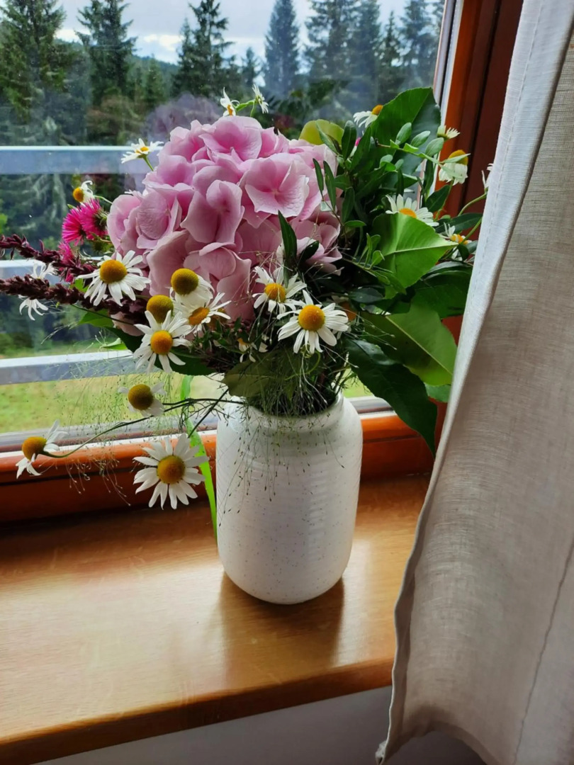 Velký apartmán Cihlarka pro až 17 osob