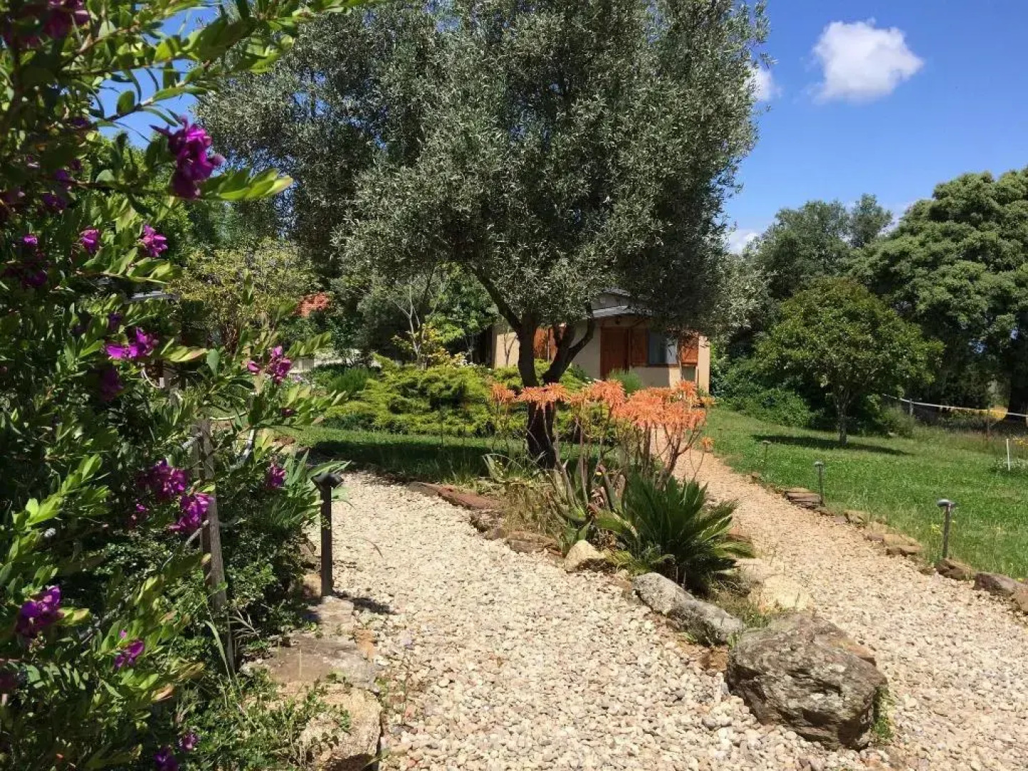 La Cerca Del Alcornoque