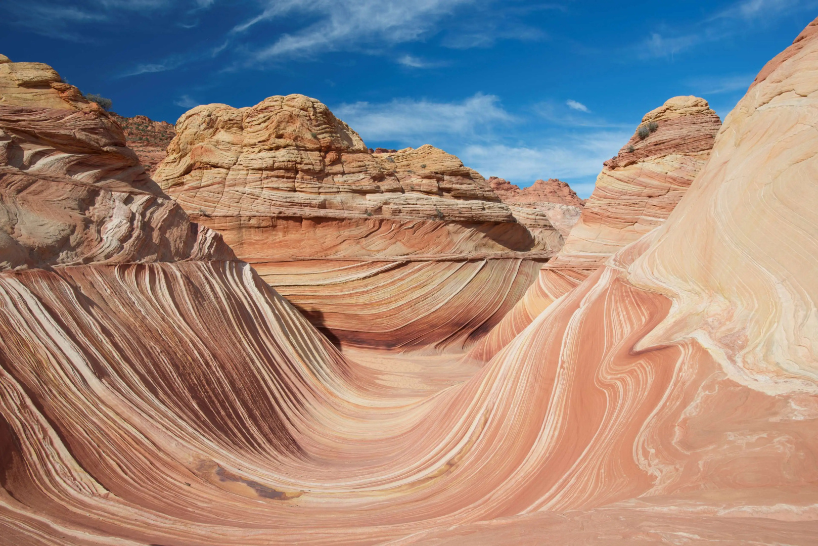 Best Western View Of Lake Powell Hotel
