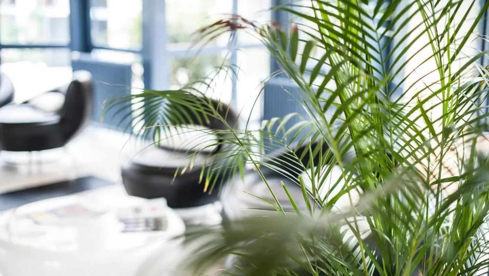 Stargaze Forum Hotel