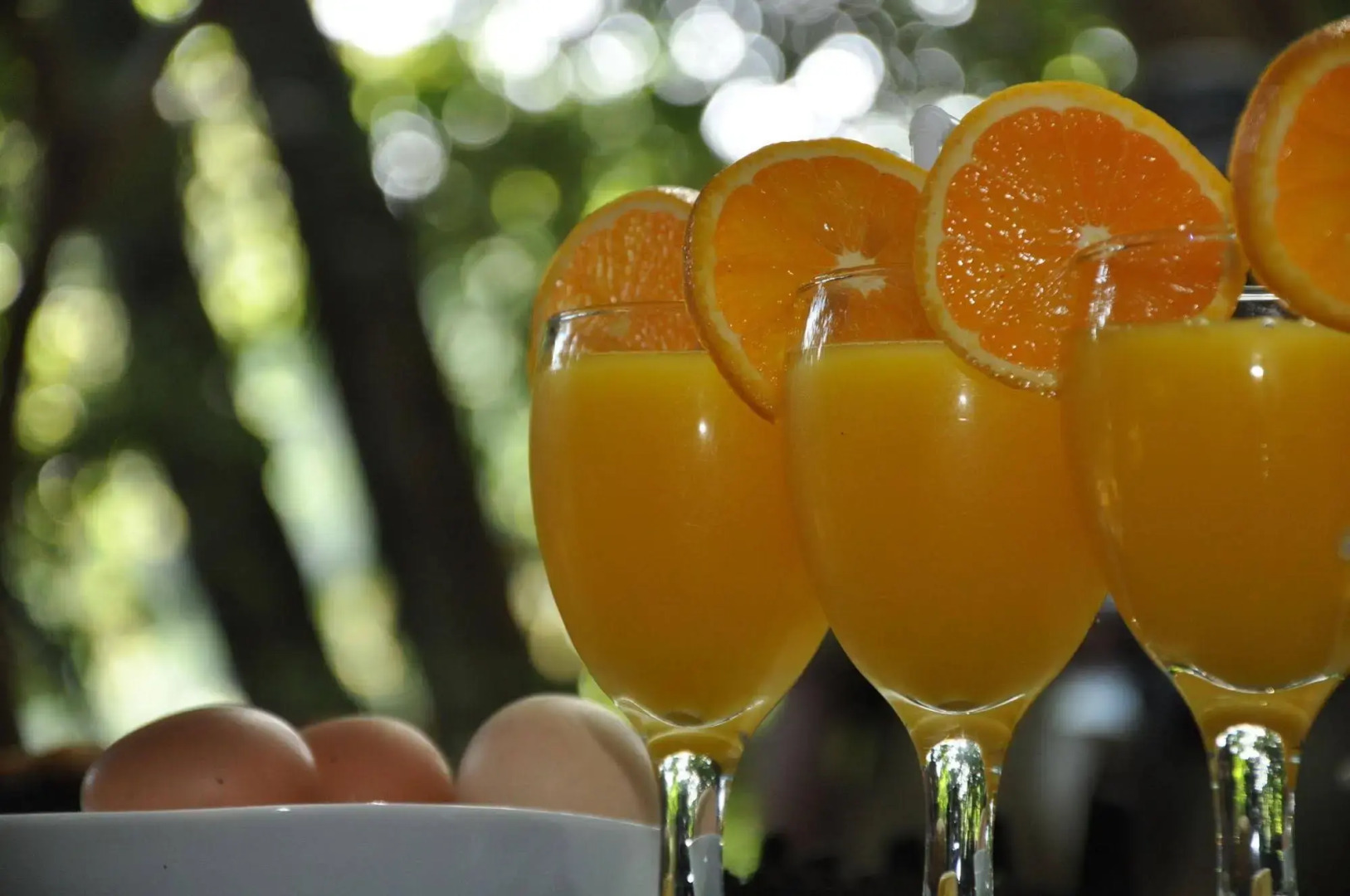 Mahoora - Yala by Eco Team