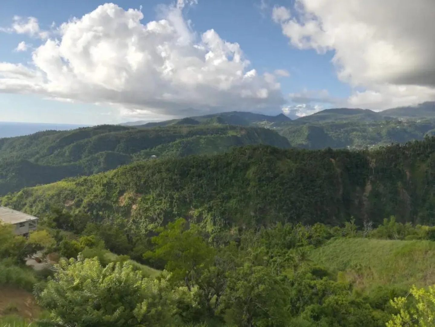 Matthew's Miracle View