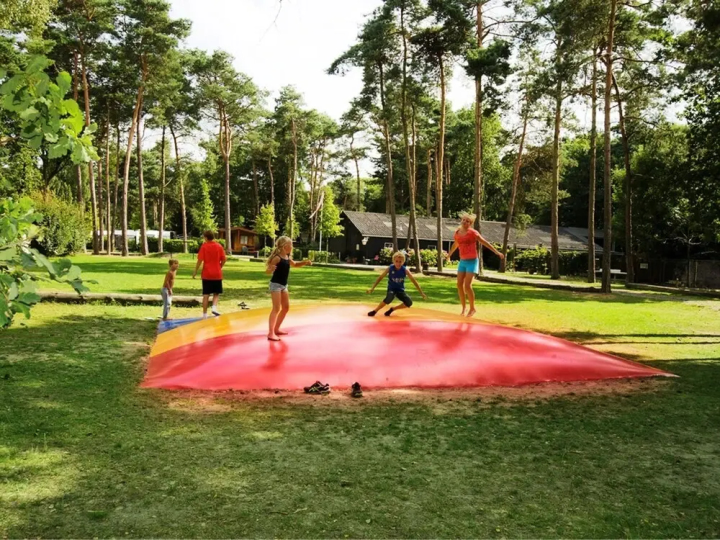 Furnished Chalet Located near Oisterwijkse Vennen