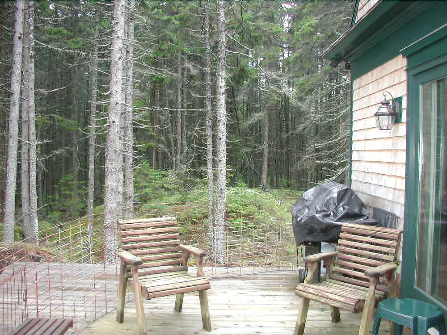 Wolfhound Cottage - One Bedroom Home