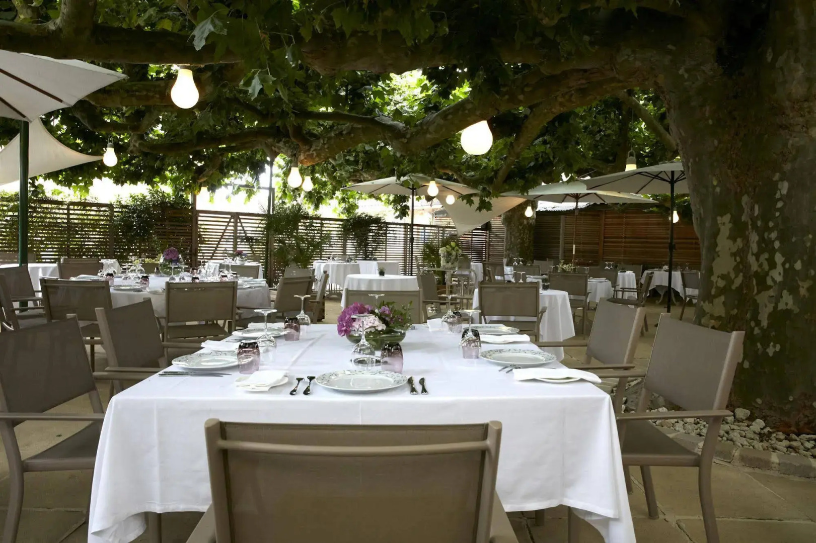 Hôtel Restaurant Claude Darroze