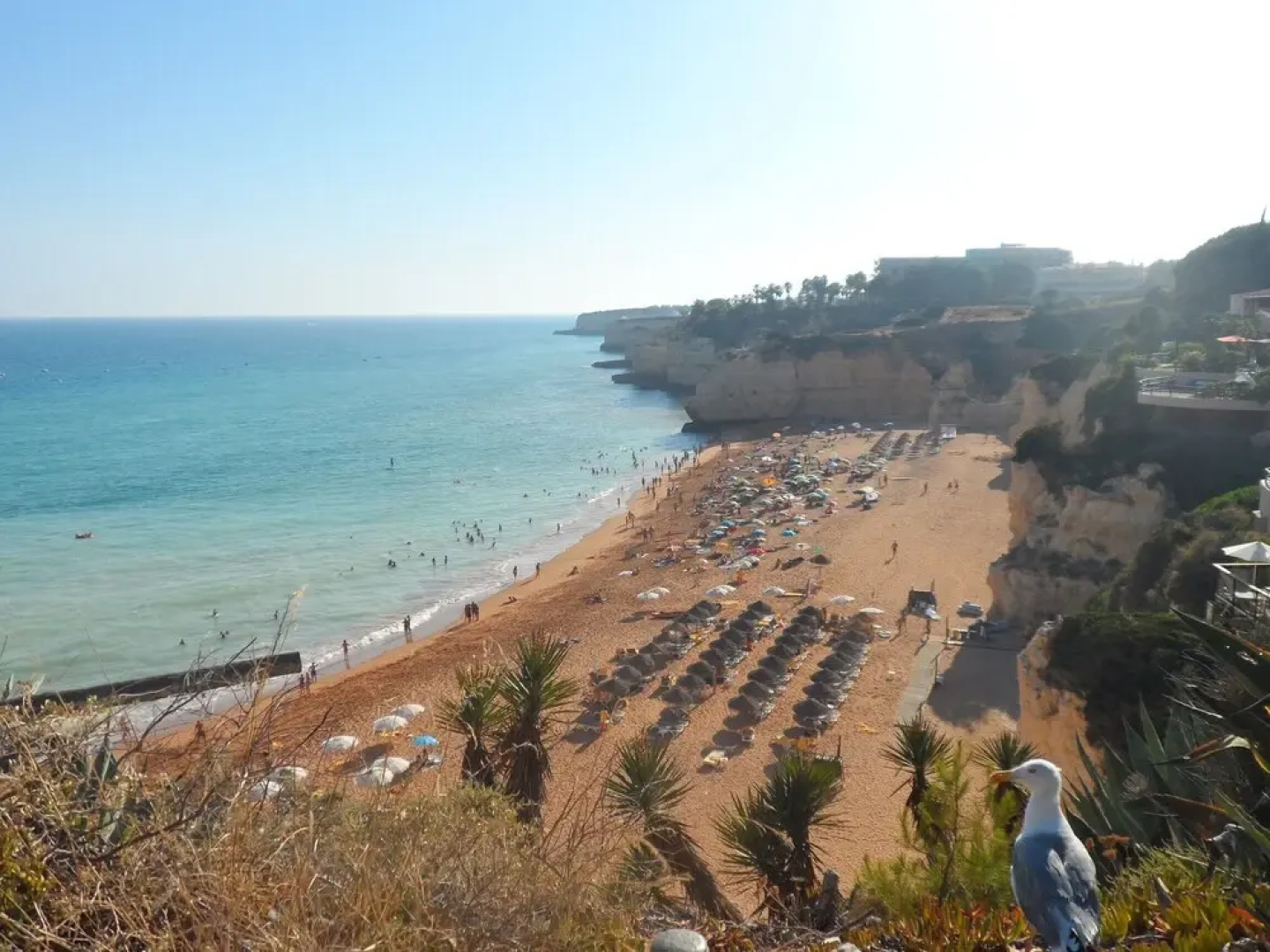 Apartamento Praia de Porches,izibookings