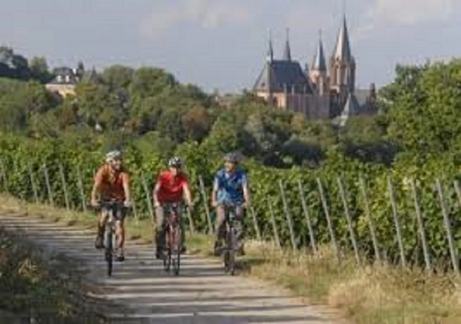 Best Western Wein-Und Parkhotel Nierstein