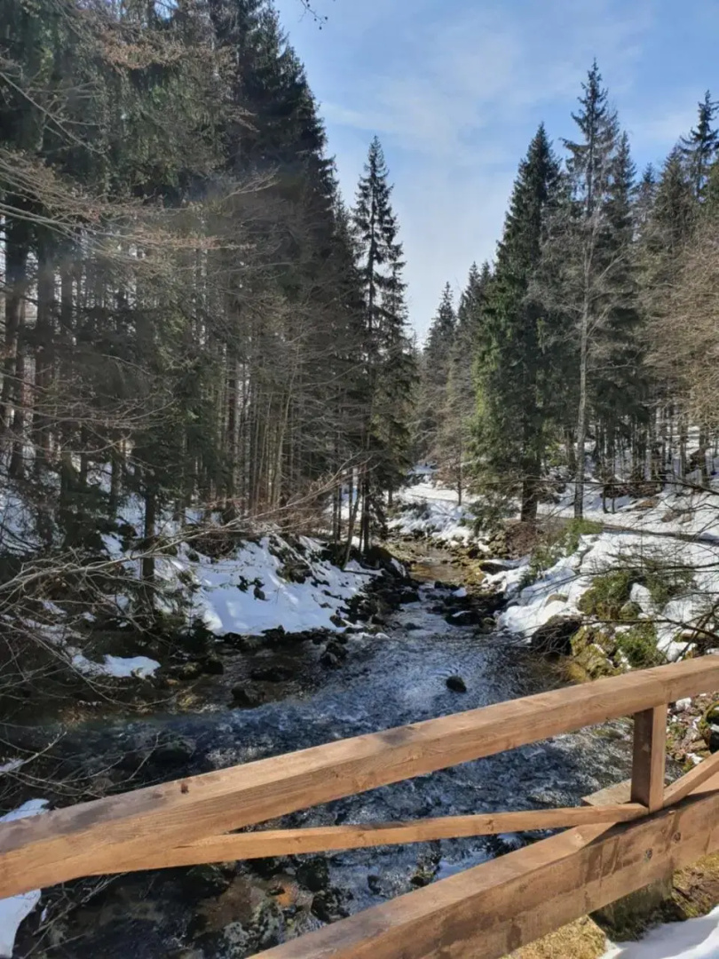 Pronájem Apartmánu V Tanvaldu