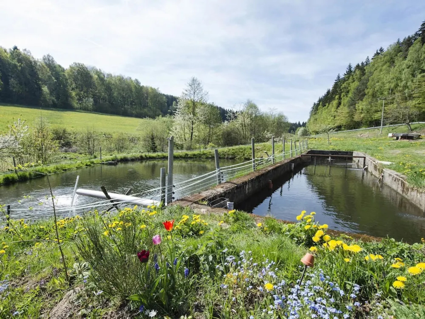 Secluded Apartment in Schönsee near Forest