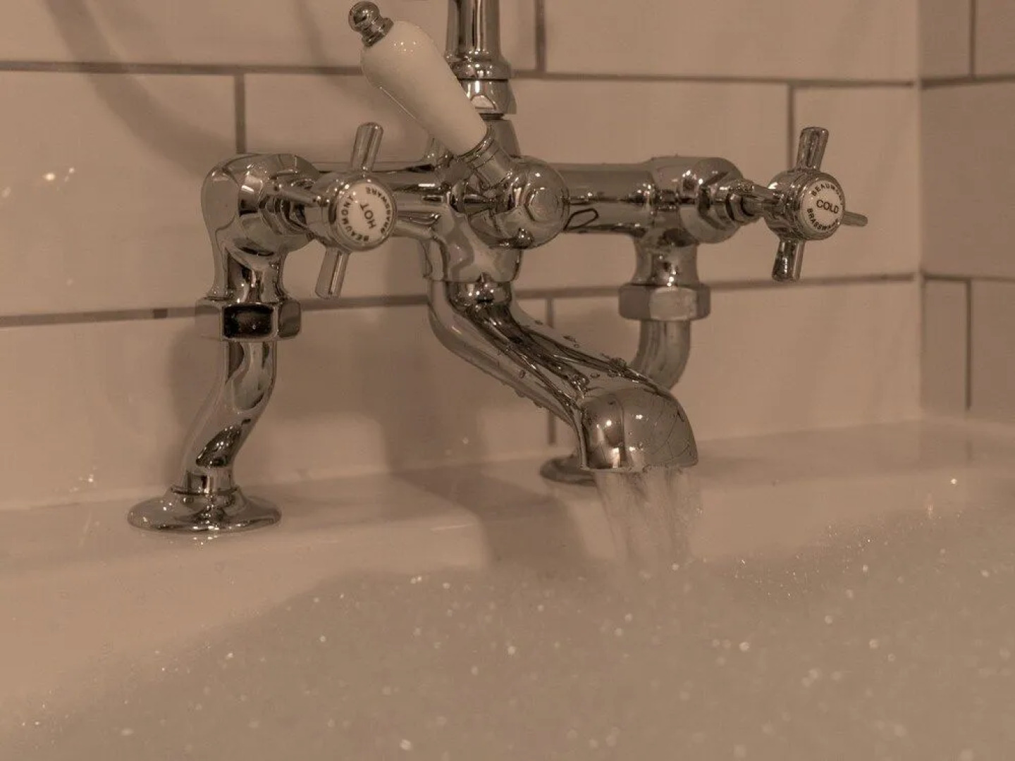 The Lion Pub & Grill