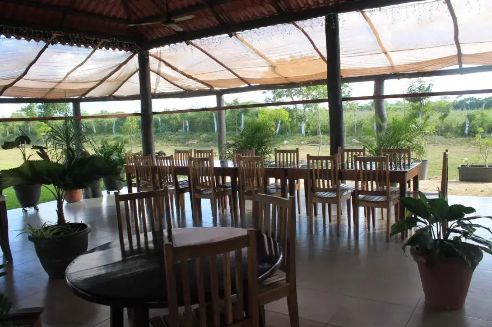 Real Primaveras Campestre