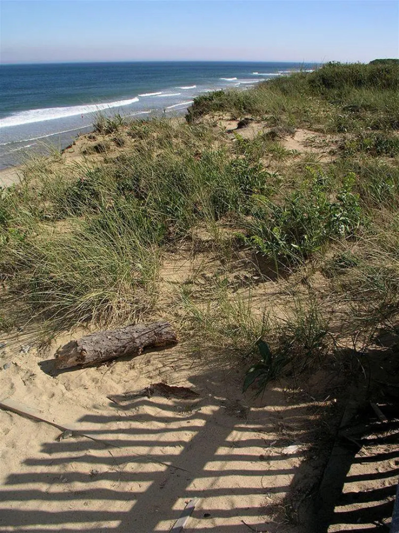 The Cove at Yarmouth by VRI Americas