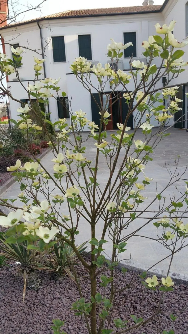 Hotel Alla Villa Fini