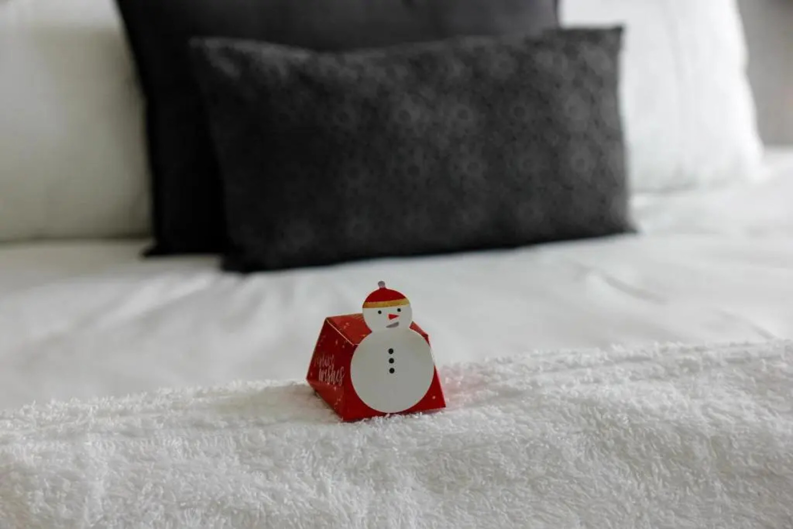 Vacation Letting Unit 3 The Bridge