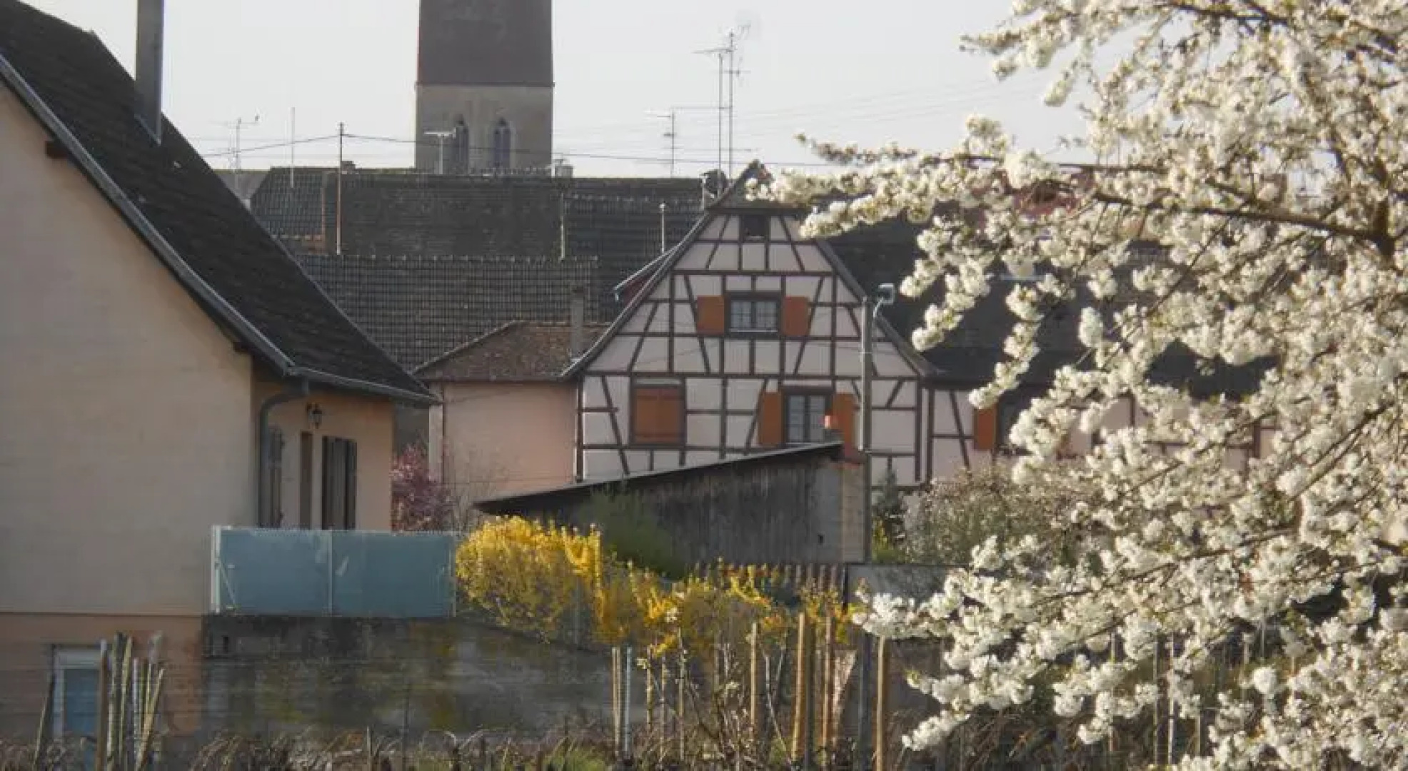 Chambres dhôtes Schneider Leiber Marie Louise