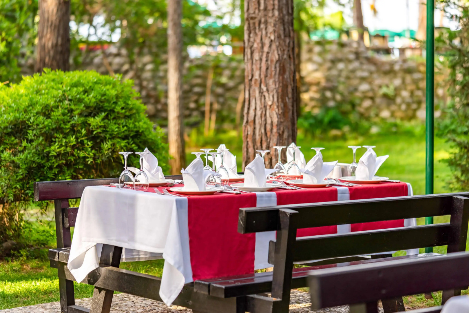 Gypsophila Club Marine