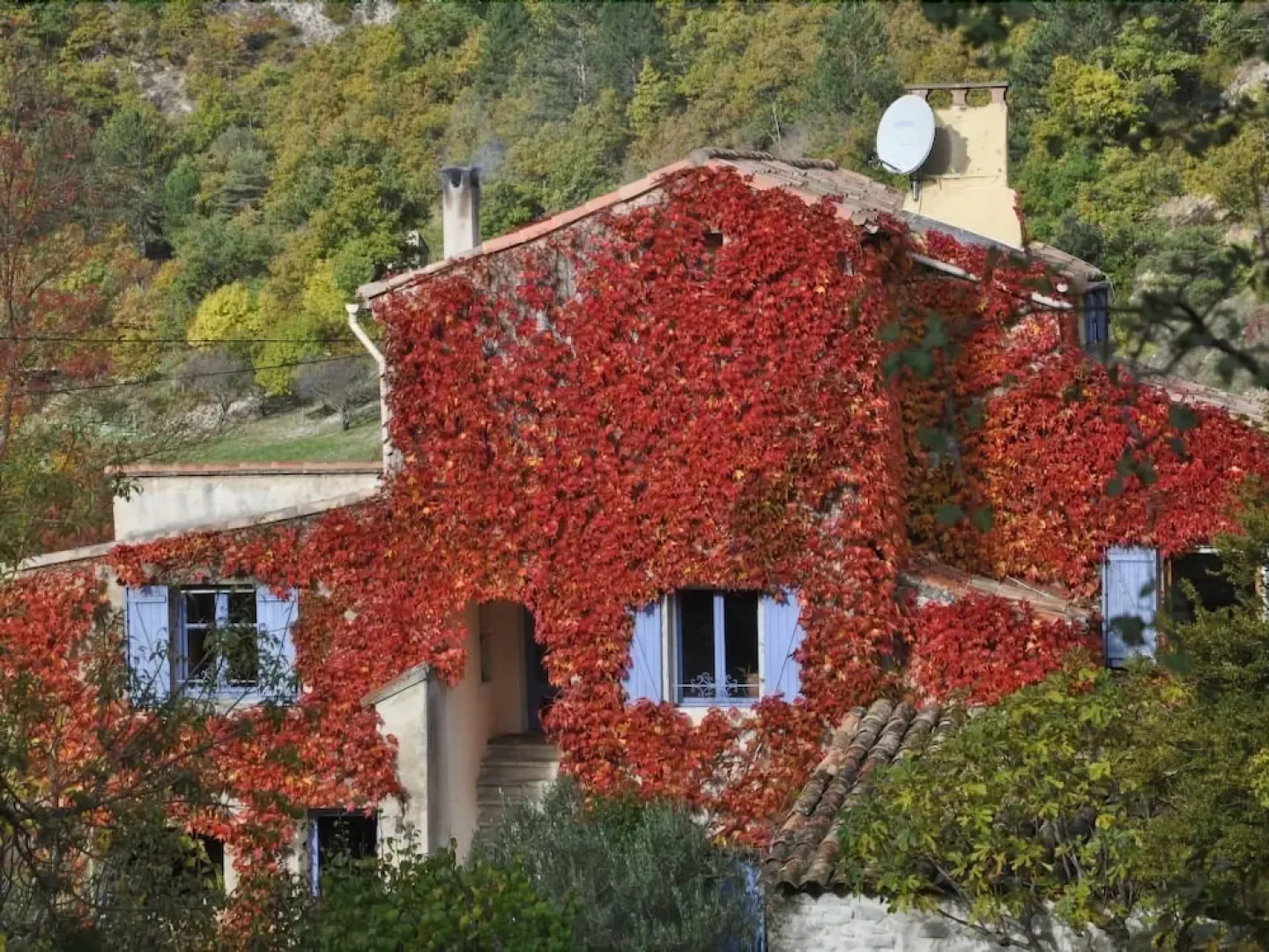La Danse des Papillons - Campsite