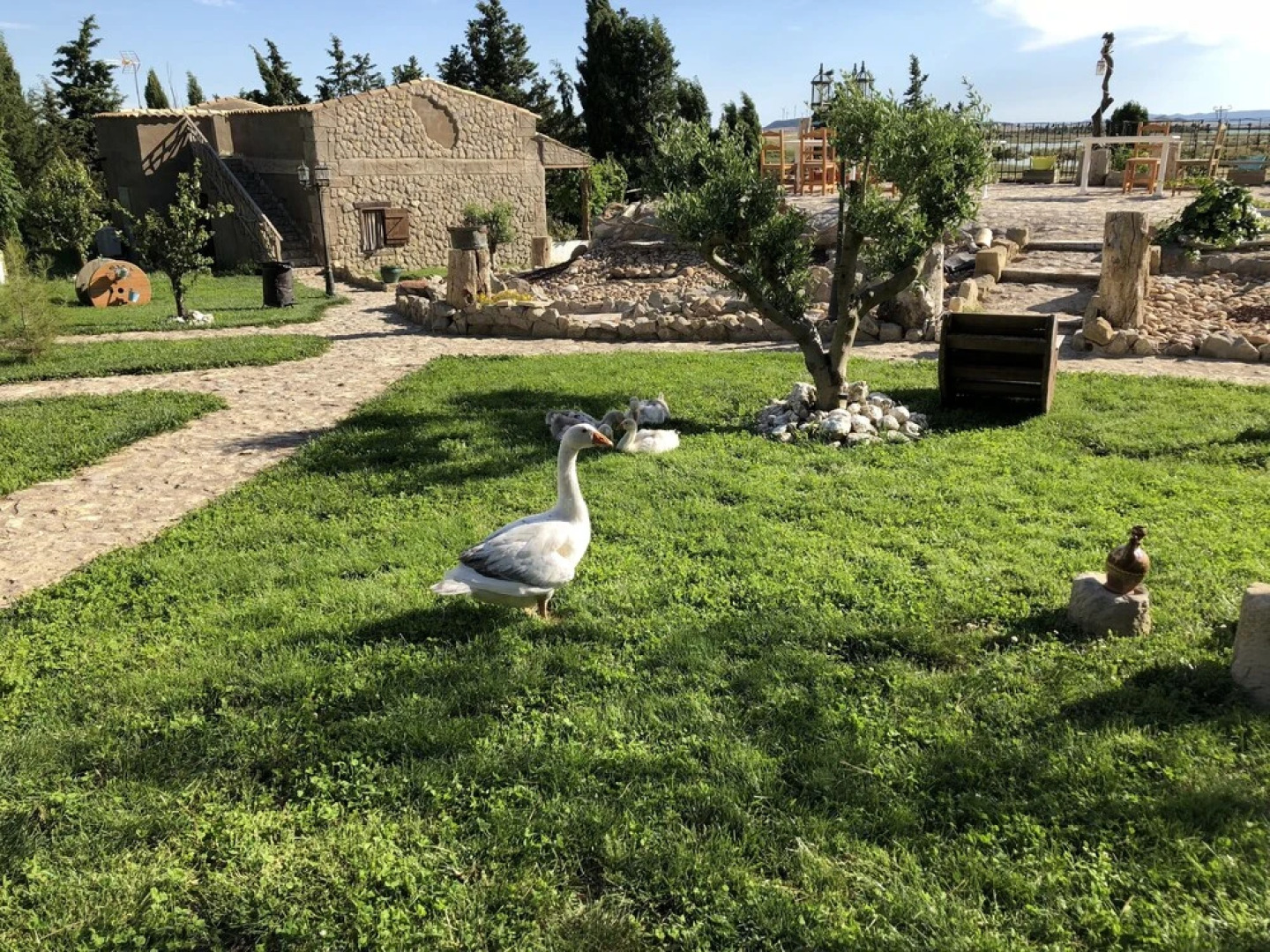 Hotel Mirador Las Grullas