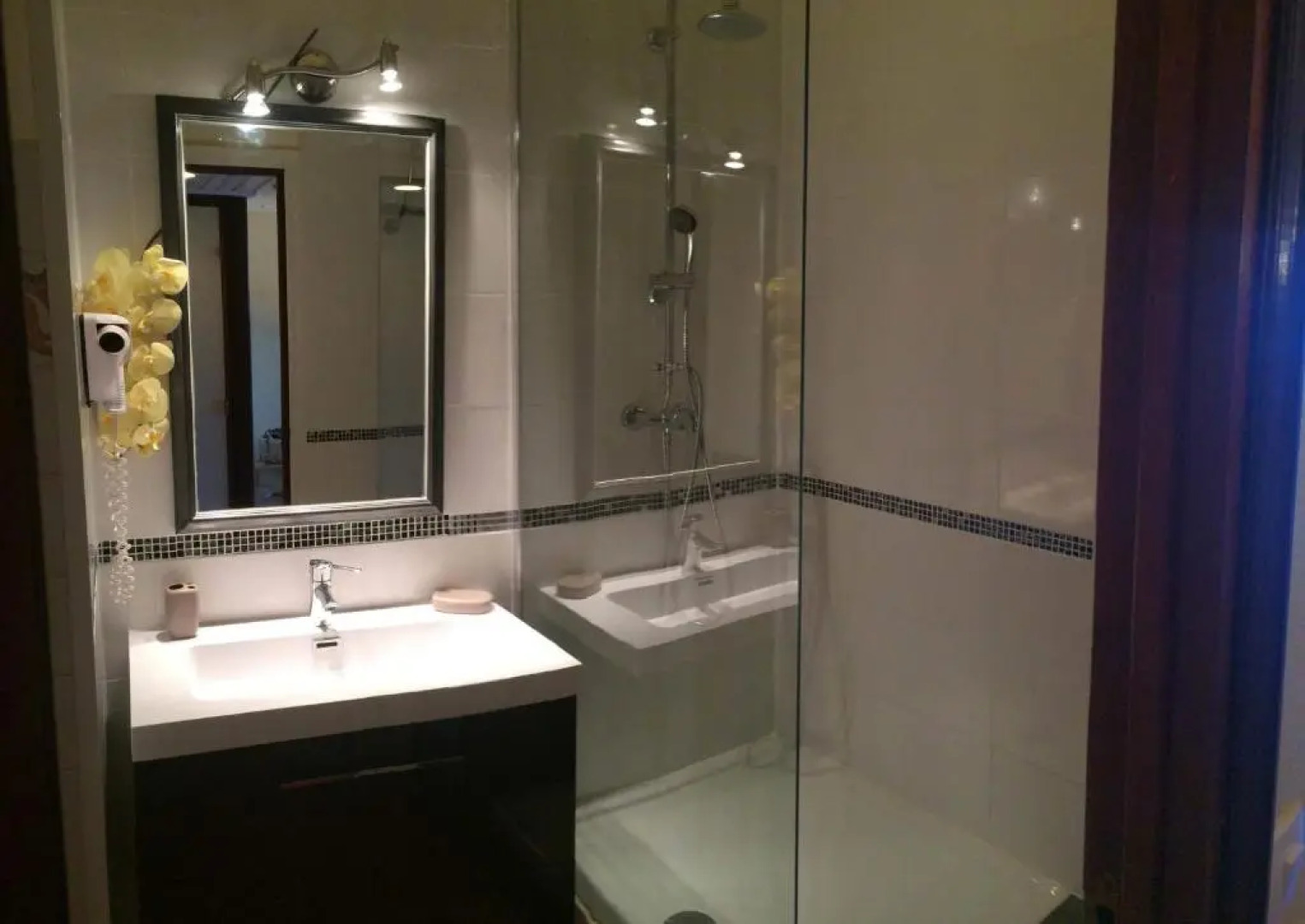 L'oiseau du Paradis Studio