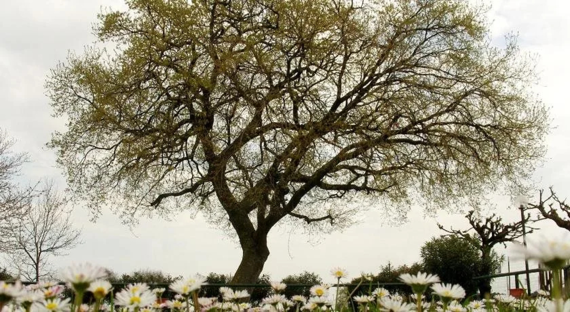 La Meridiana Agriturismo