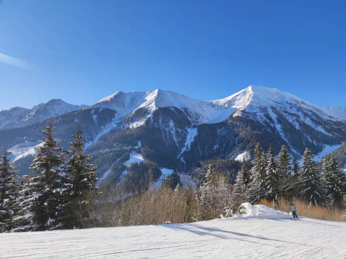 Four Season Apartment Irene