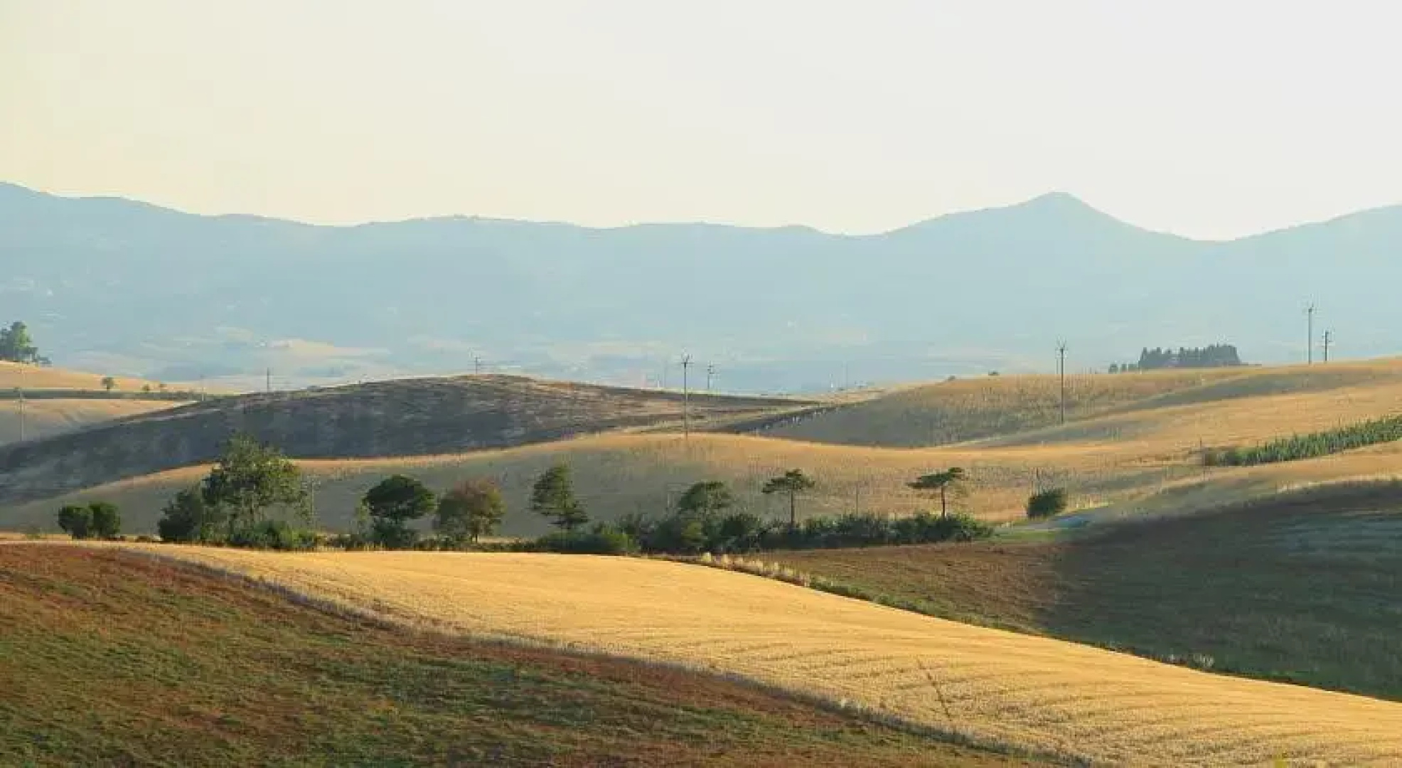 Agriturismo Le Cannelle