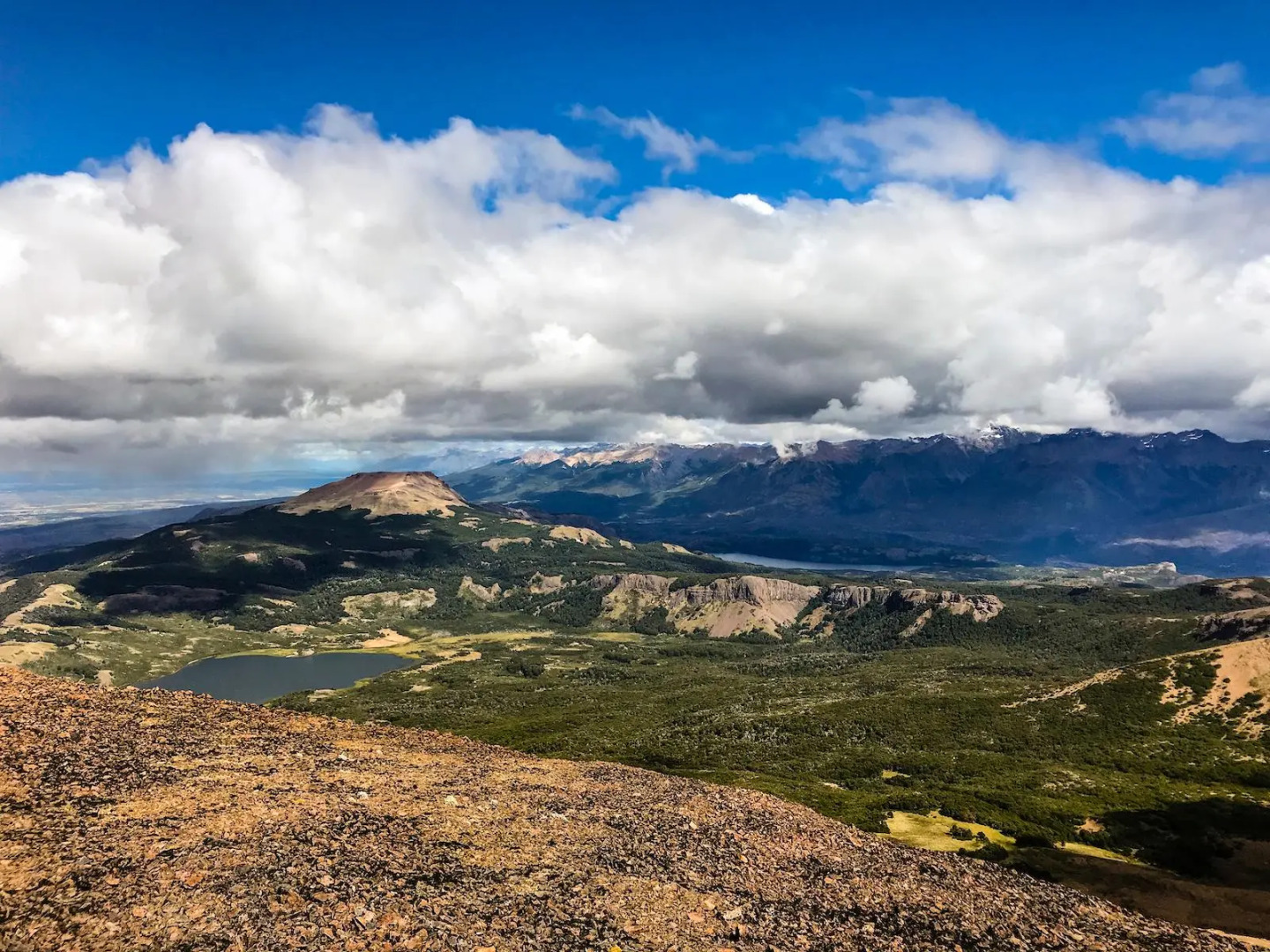 Huemules Reserva de Montana