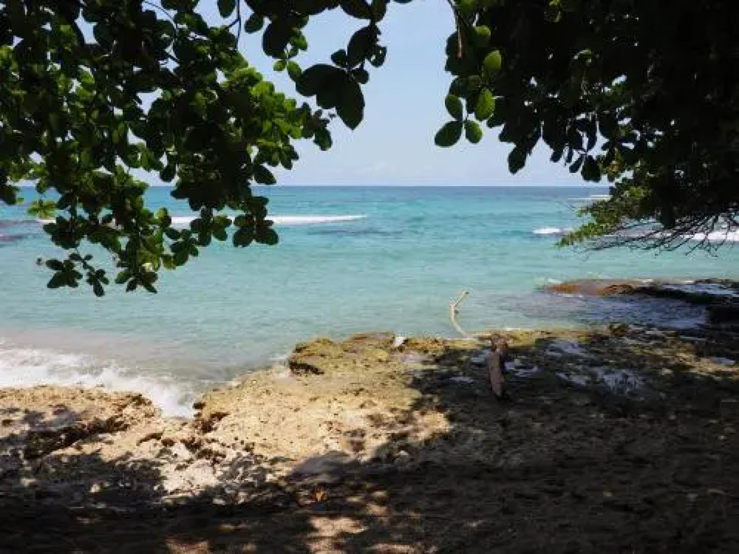 Cabinas Punta Uva