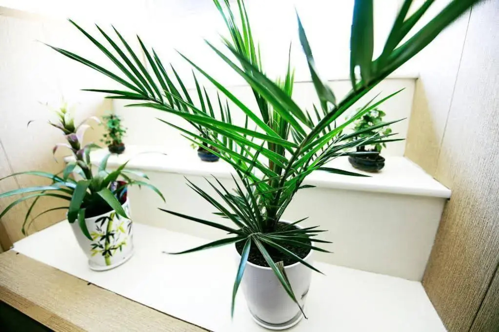 Хостел Абажур