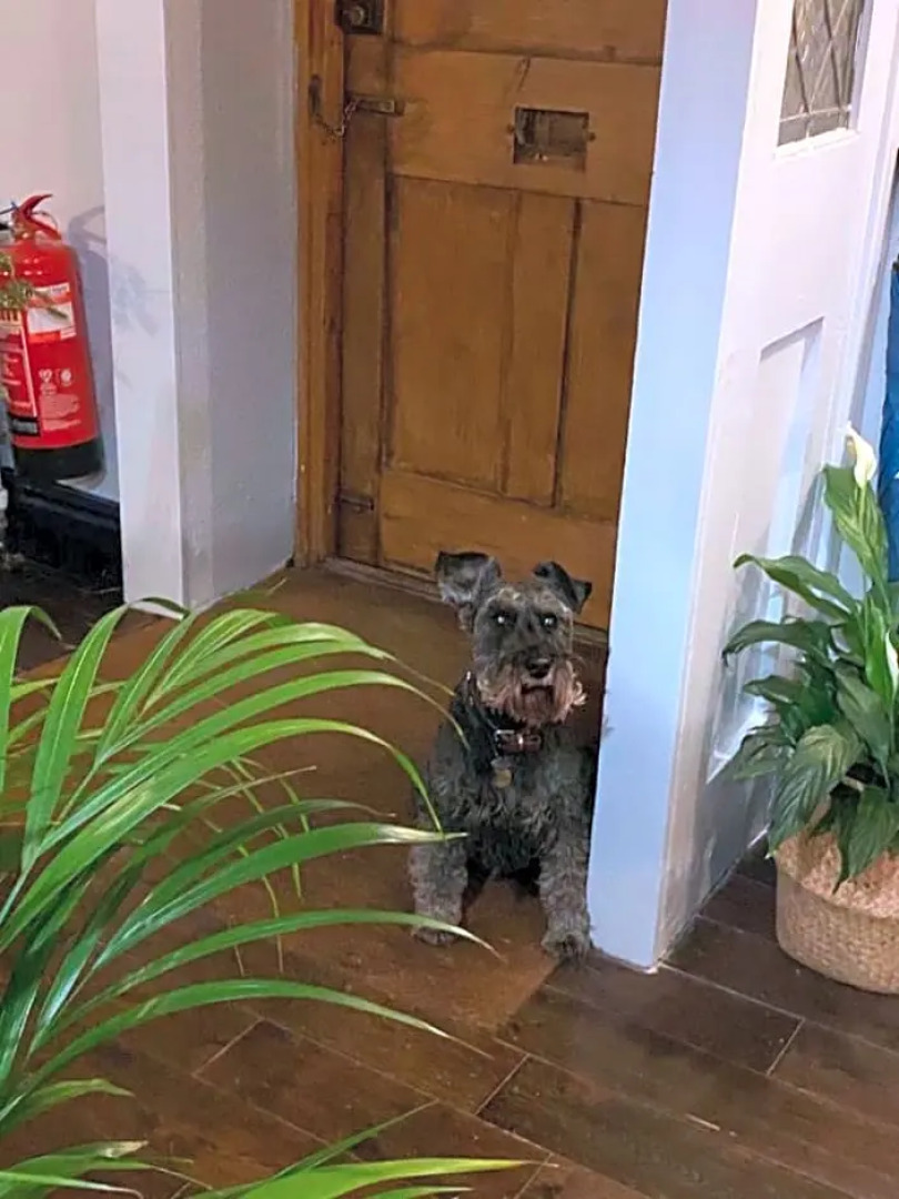 The Queen Matilda Country Inn & Rooms