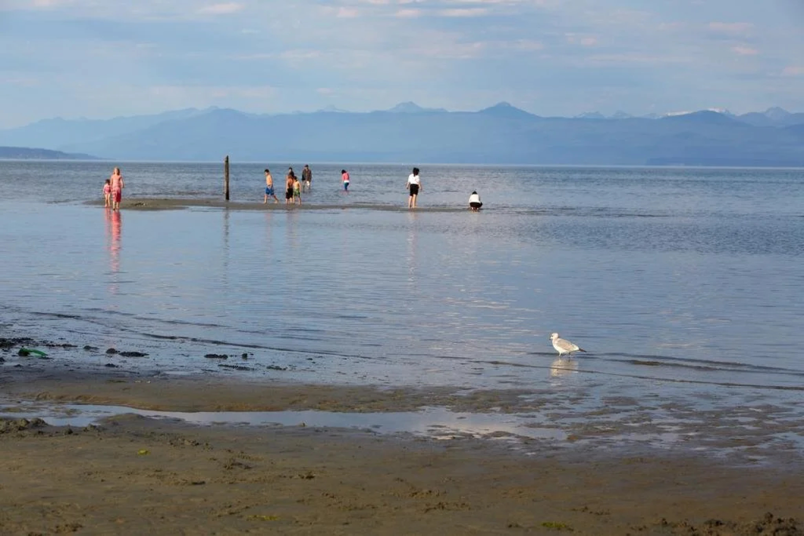 Madrona Beach Resort