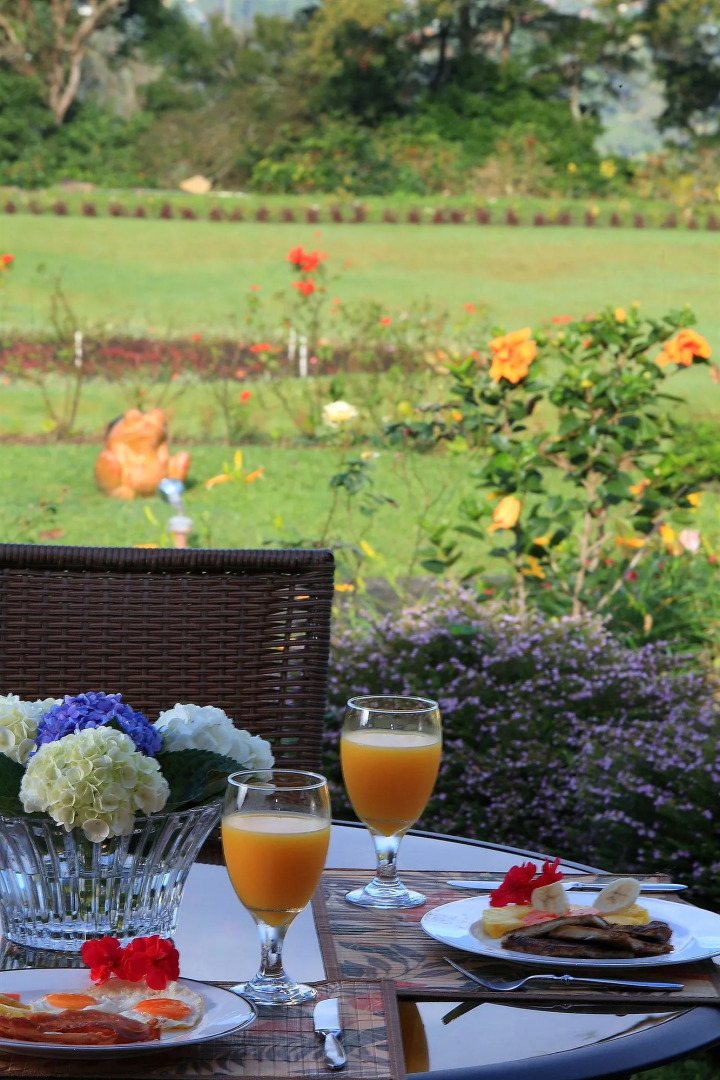 Los Establos Boutique Resort- All Inclusive