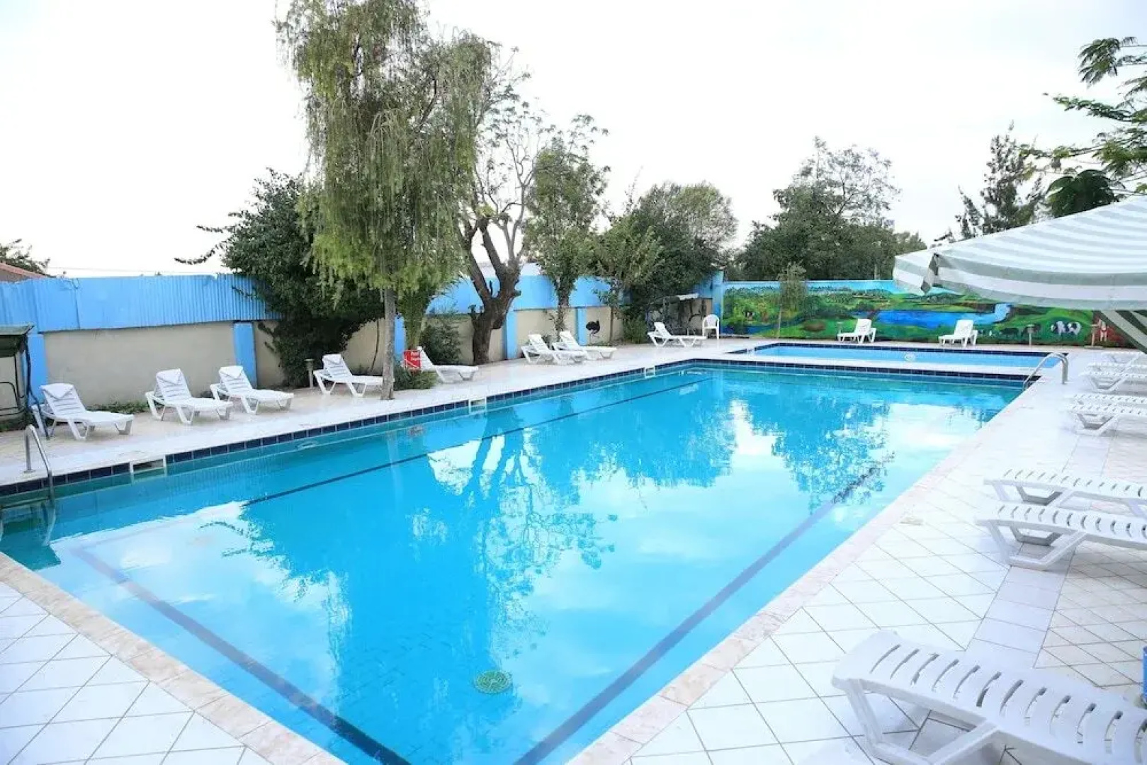 Rediet International Hotel Shashemene