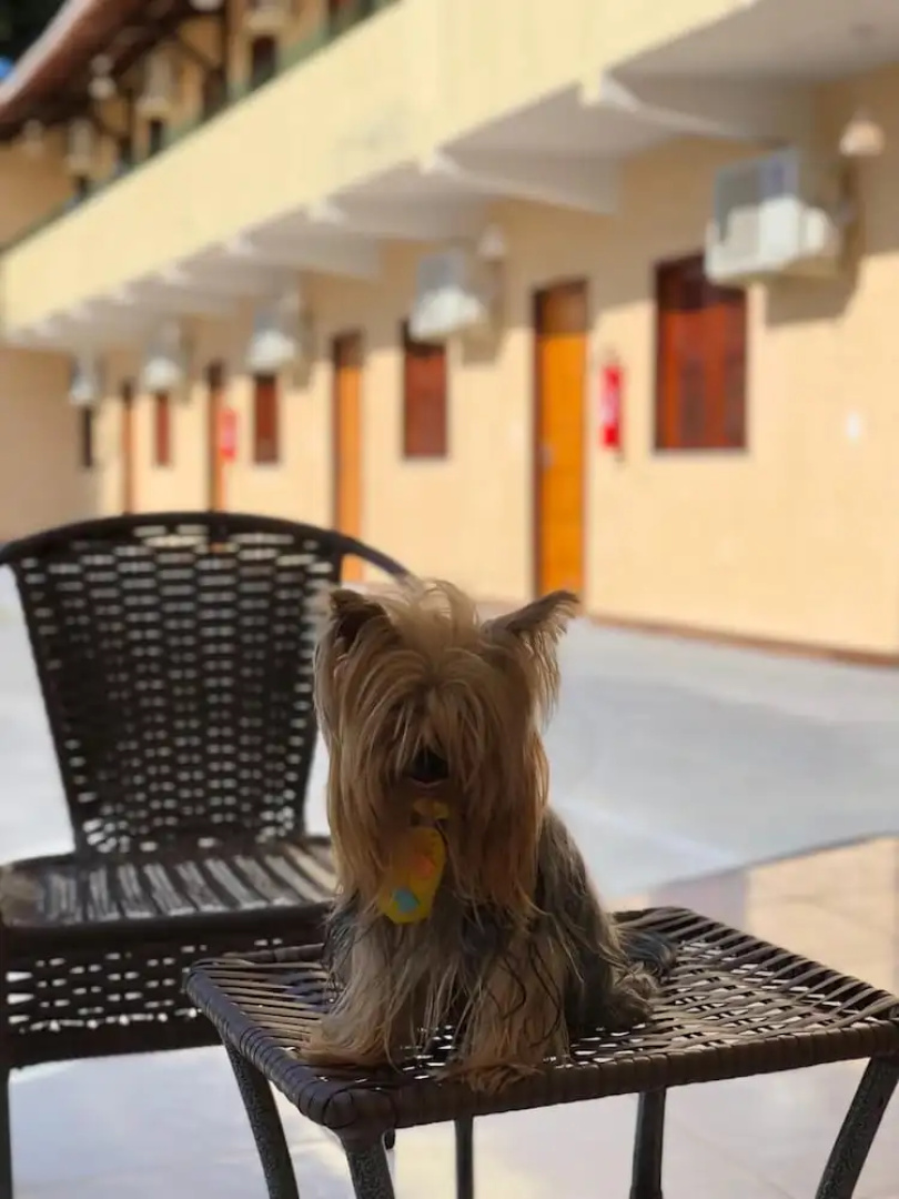 Hotel Pinto Martins