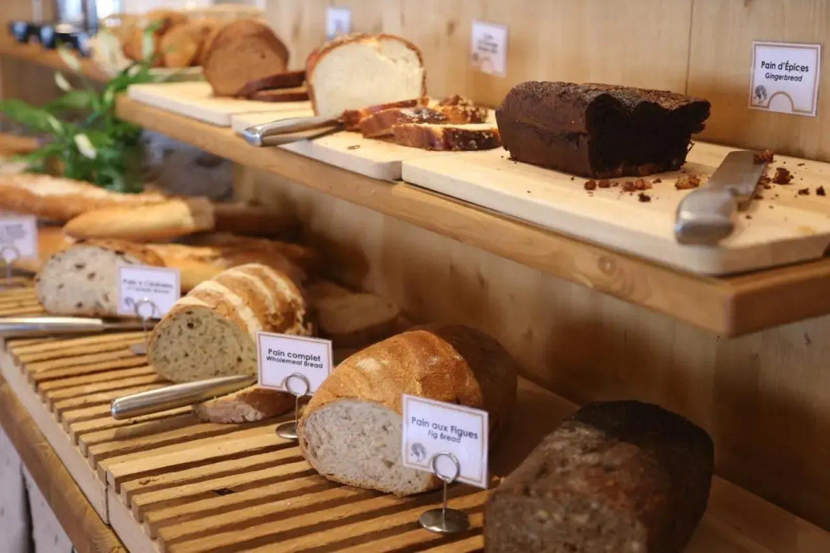 Hôtel & Spa Le Dahu