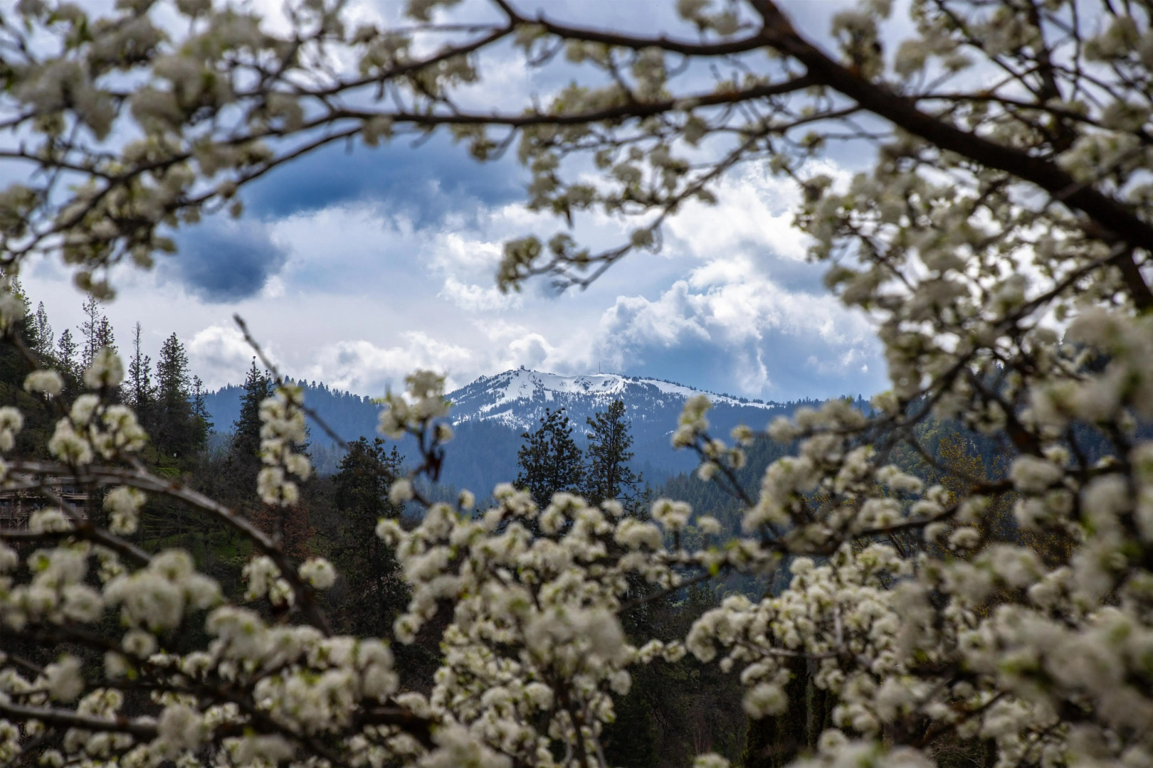 The Bard's Inn, BW Signature Collection by Best Western