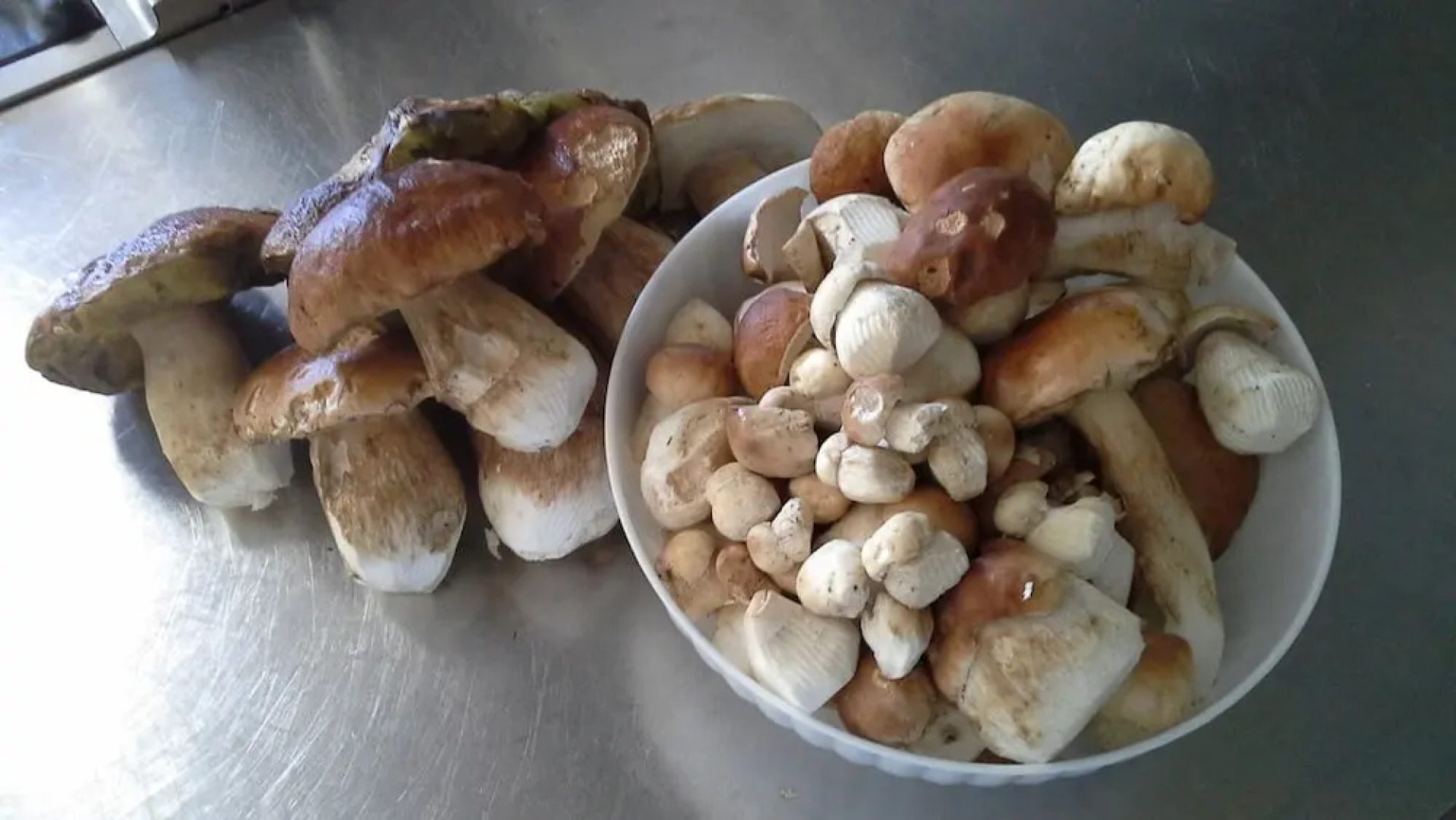 Agriturismo Roncadizza Lumaghera