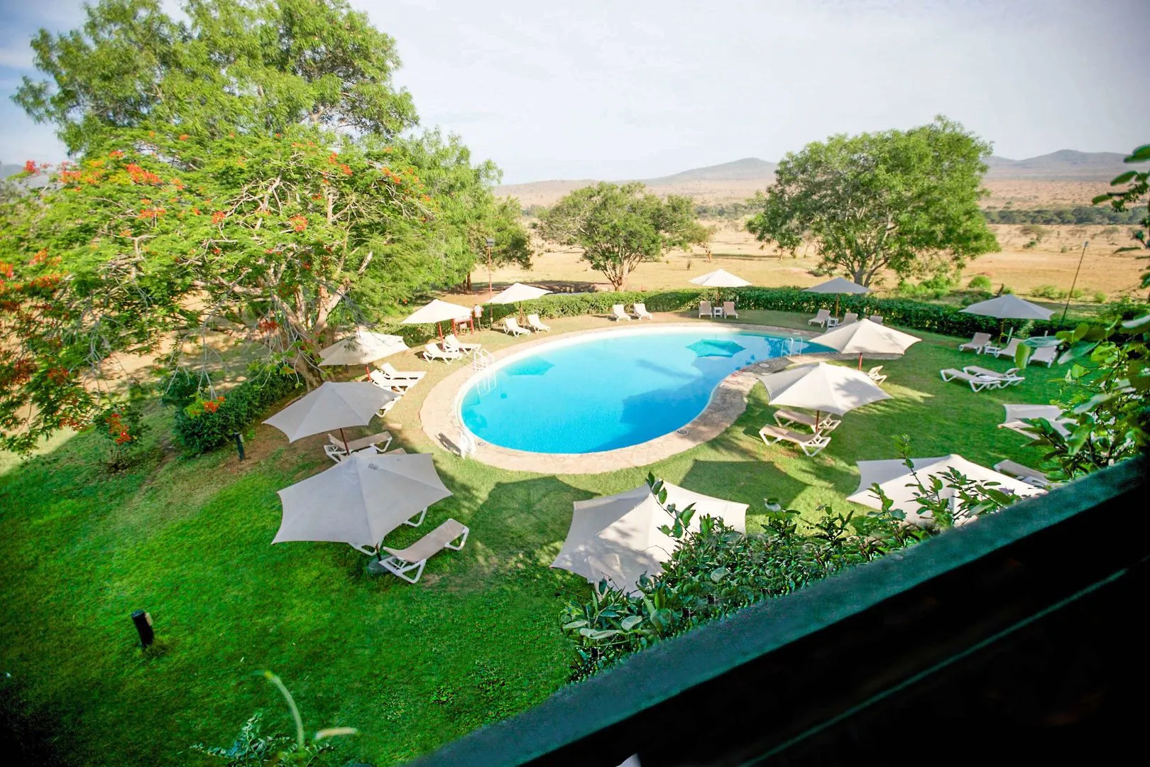 Salt Lick Safari Lodge