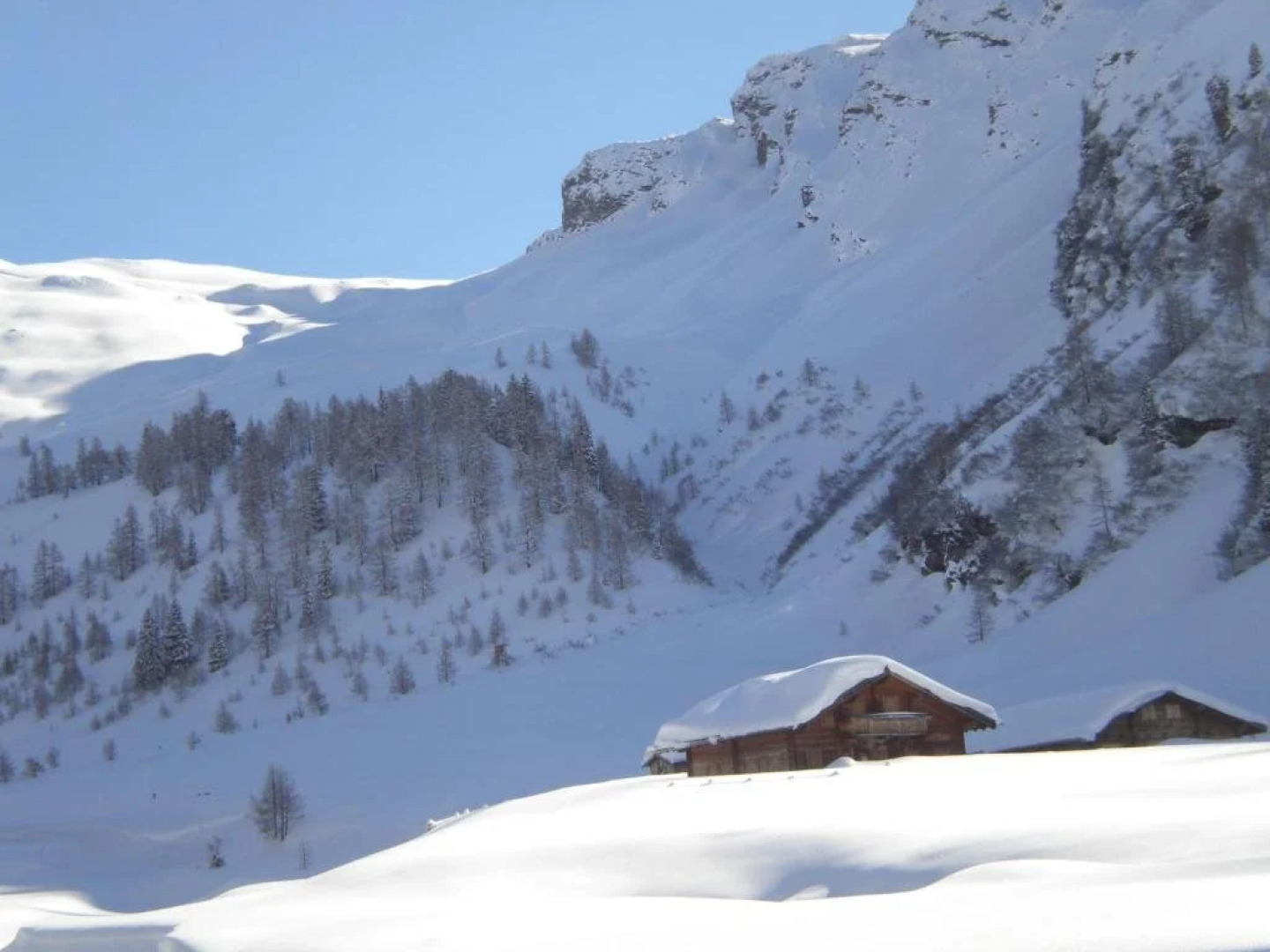 Triglerschlössl Appartements