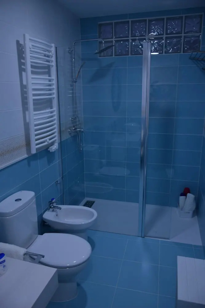 Apartamentos Coso de San Albin