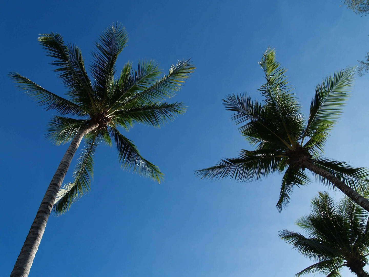 Bangtao Village Resort