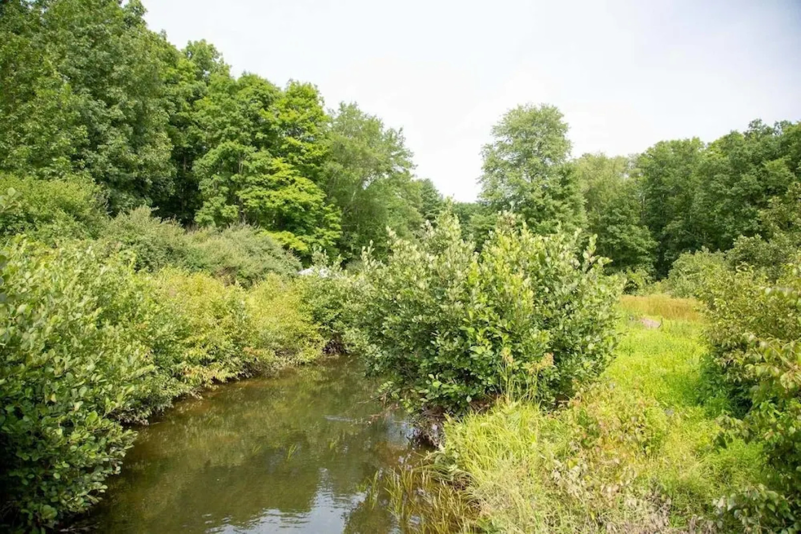 Tentrr - Clove Valley Creek