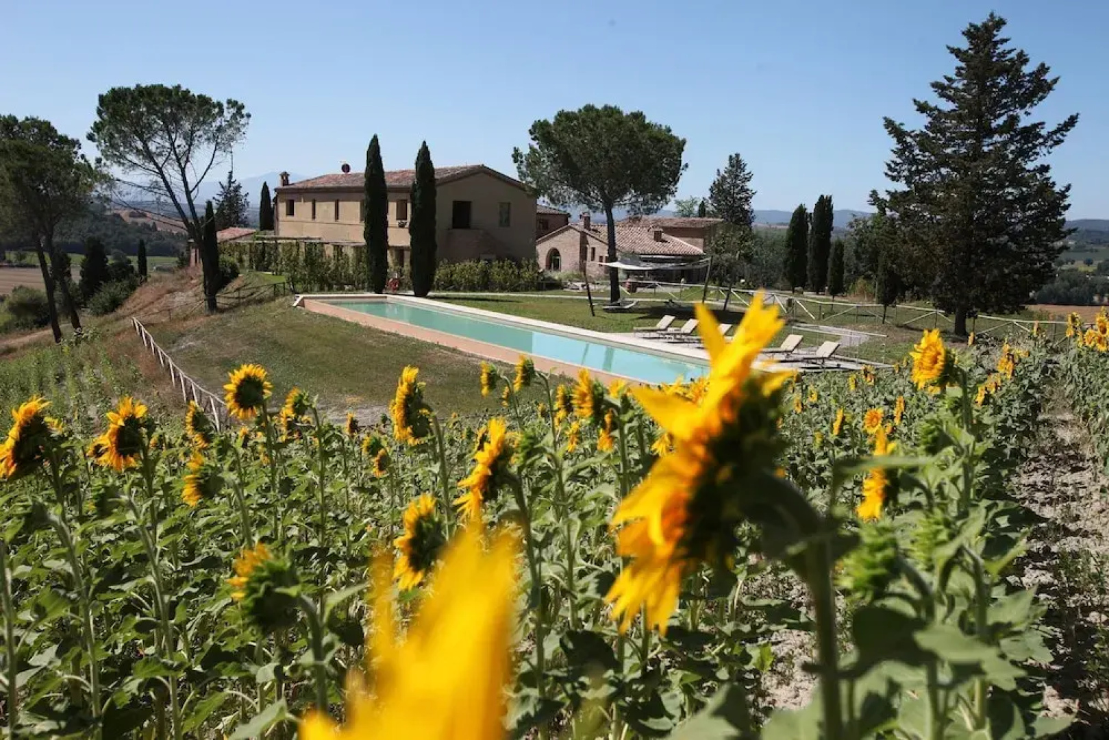Tenuta d'Arbia