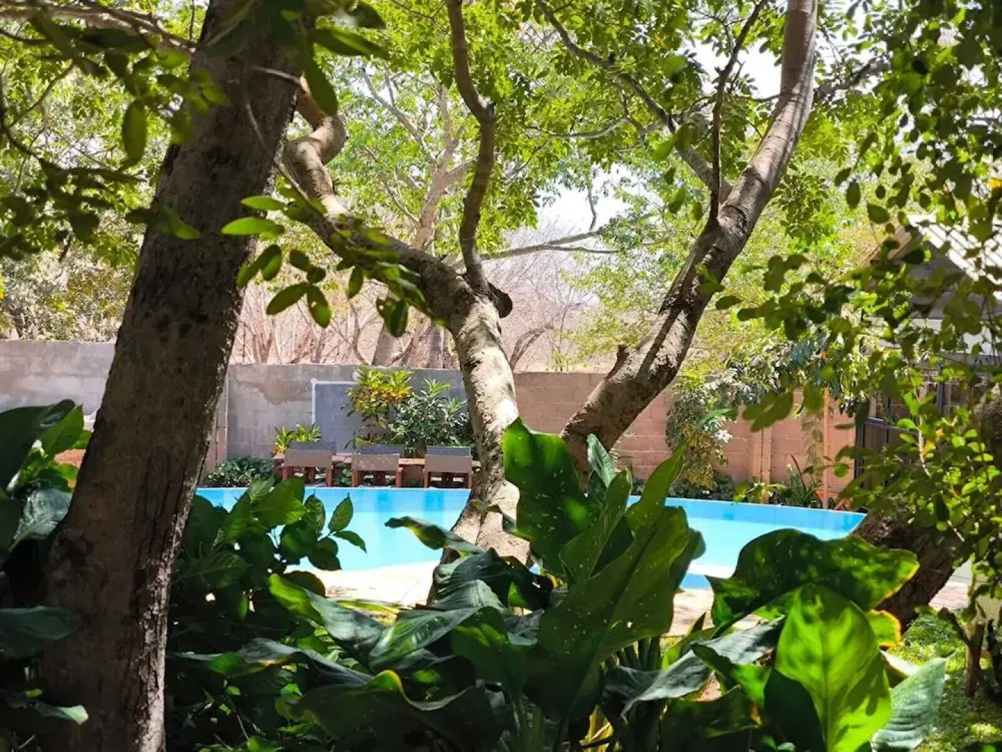 Room in Lodge - Luxury Suite in Zambezi Boutique Lodge 9 With Free Town Tour