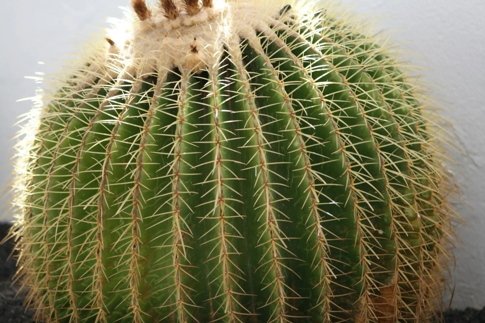 Apartamentos Villa Canaima