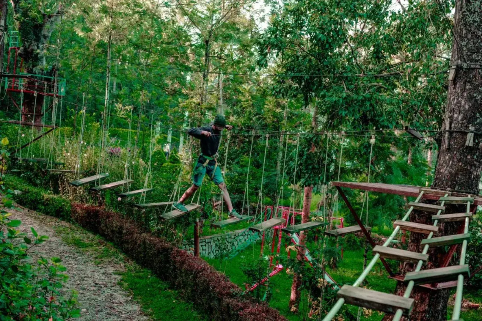 The Blossom Resort Chikmagalur