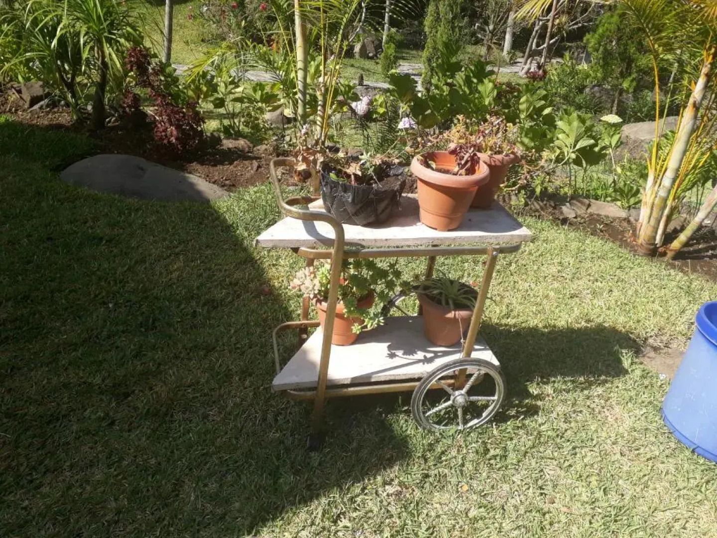 Hotel y Bungalows ecologicos Marcelo