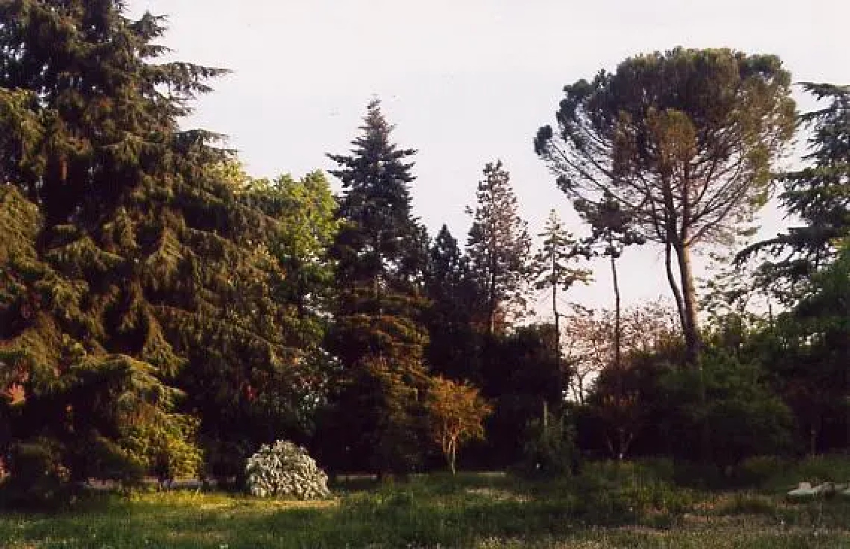 Bed & Breakfast Camomilla