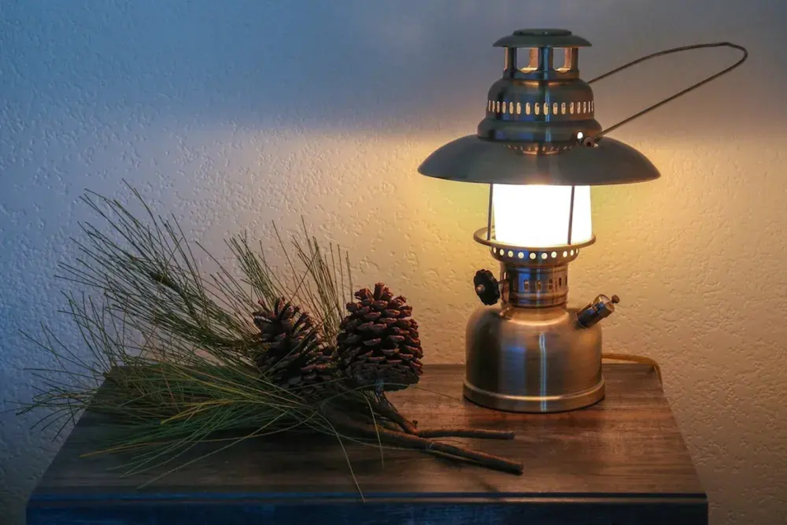 Roosevelt s Retreat A Rough Rider s Haven