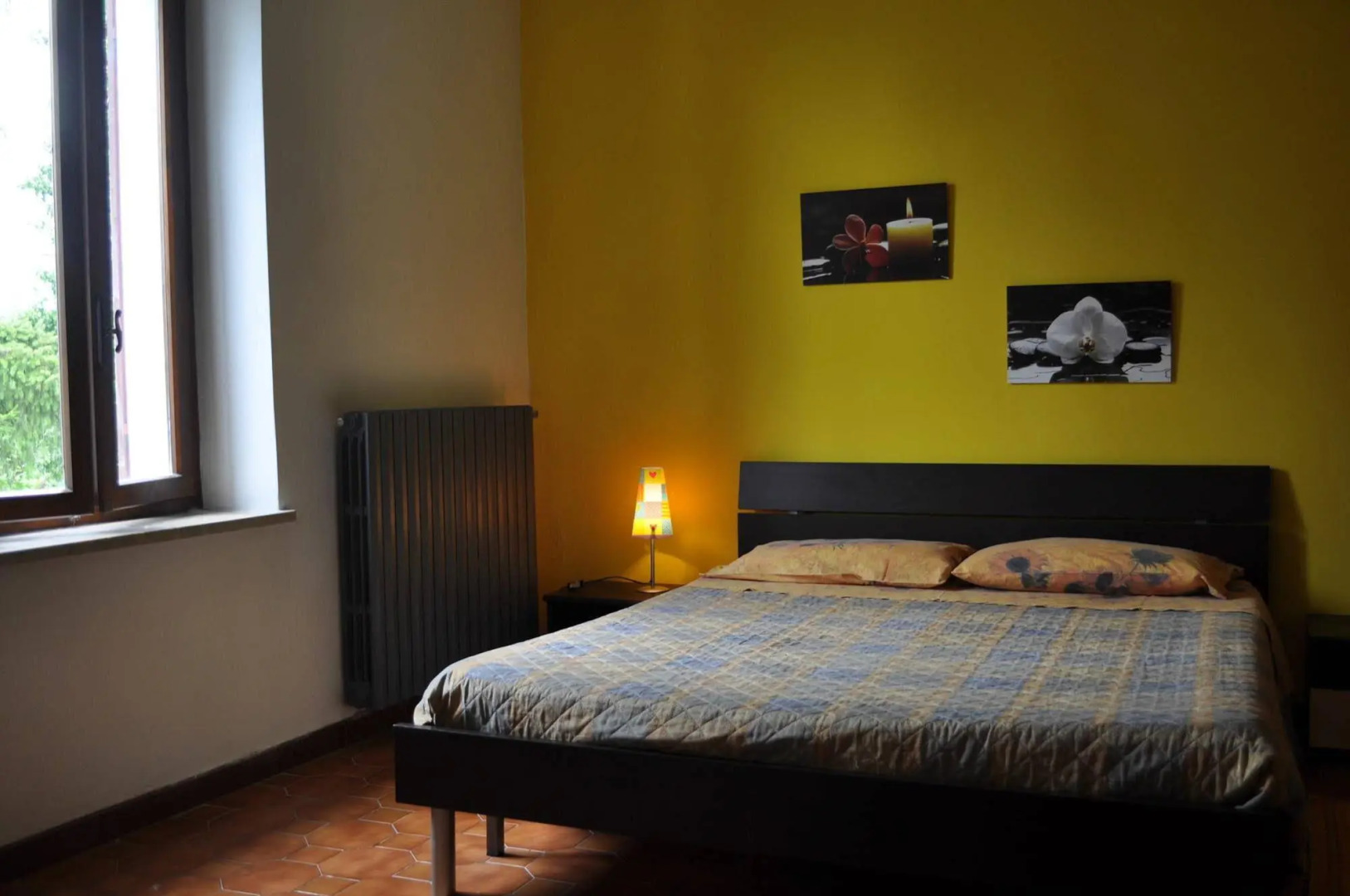 B&B Alice in wonderland